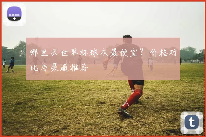 哪里买世界杯球衣最便宜？价格对比与渠道推荐