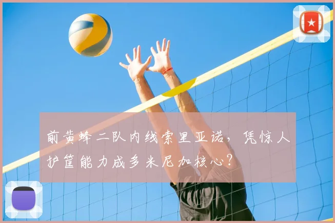 前黄蜂二队内线索里亚诺,凭惊人护筐能力成多米尼加核心?