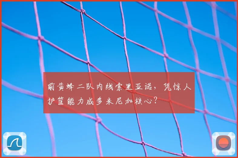 前黄蜂二队内线索里亚诺,凭惊人护筐能力成多米尼加核心?