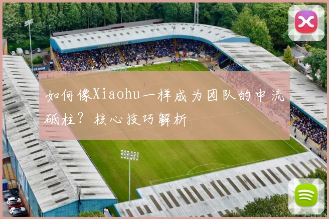 如何像Xiaohu一样成为团队的中流砥柱?核心技巧解析