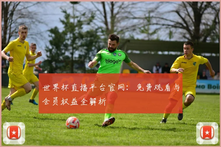 世界杯直播平台官网：免费观看与会员权益全解析