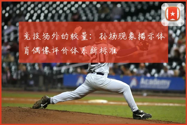 竞技场外的较量:孙杨现象揭示体育偶像评价体系新标准