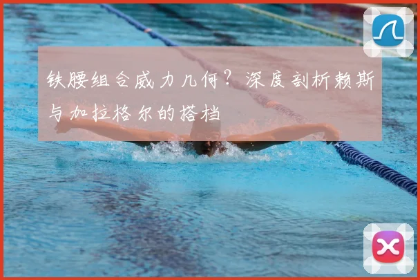 铁腰组合威力几何?深度剖析赖斯与加拉格尔的搭档