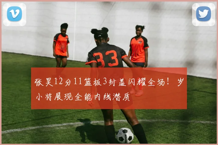 张昊12分11篮板3封盖闪耀全场!岁小将展现全能内线潜质